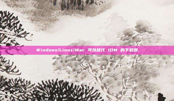 Windows/Linux/Mac 可以替代 IDM 的下载器