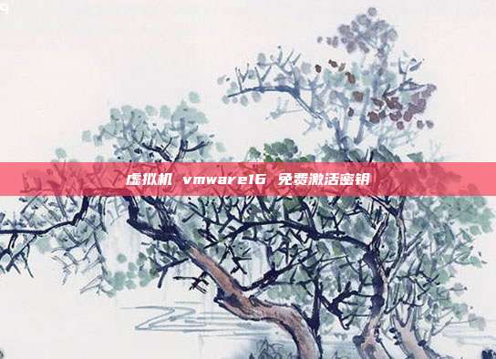 虚拟机 vmware16 免费激活密钥