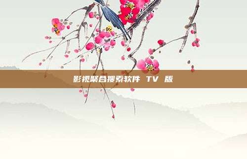 影视聚合搜索软件 TV 版