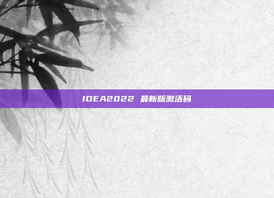 IDEA2022 最新版激活码