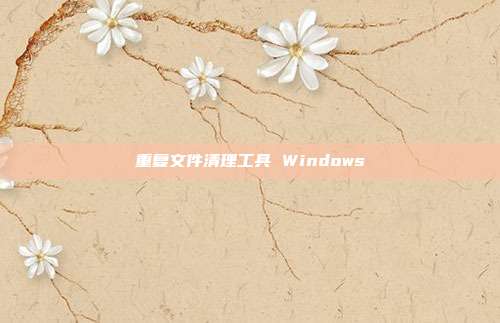 重复文件清理工具 Windows
