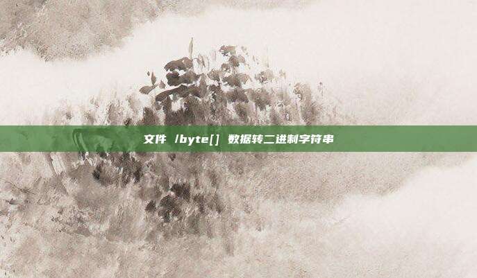 文件 /byte[] 数据转二进制字符串