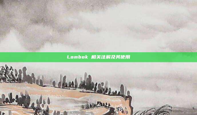 Lombok 相关注解及其使用