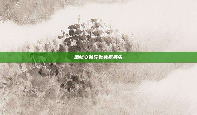 重新安装导致数据丢失