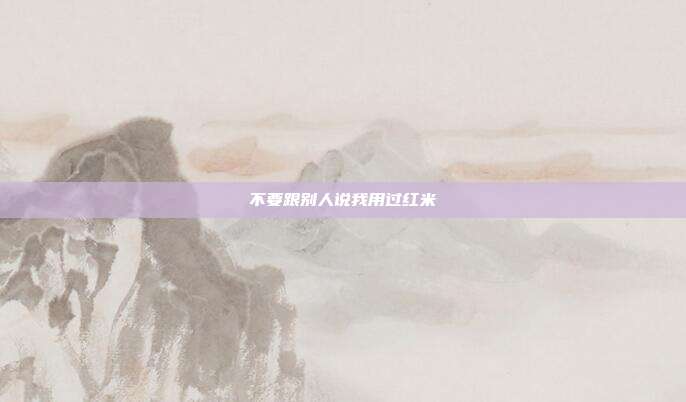 不要跟别人说我用过红米