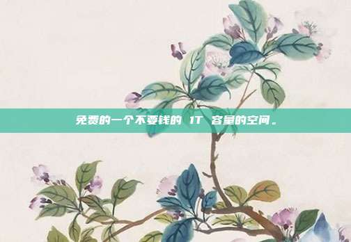 免费的一个不要钱的 1T 容量的空间。