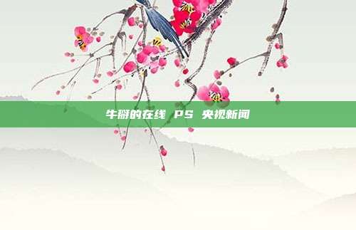 牛掰的在线 PS 央视新闻