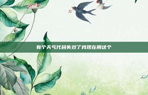 有个天气代码失效了我现在用这个