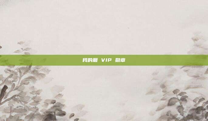 我的磨 VIP 勋章
