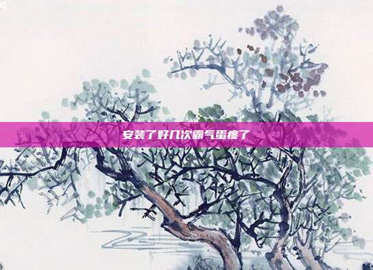 安装了好几次霸气蛋疼了