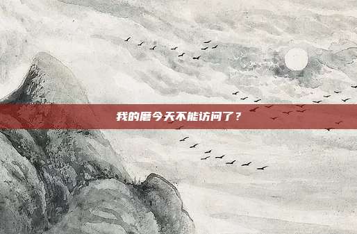 我的磨今天不能访问了？