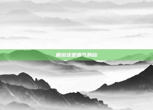 据说这是霸气的站