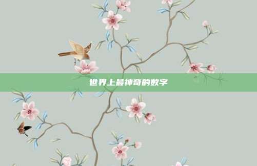 世界上最神奇的数字