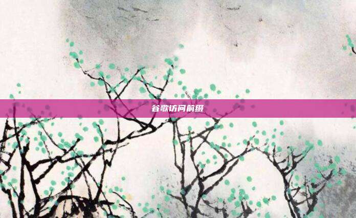 谷歌访问前缀
