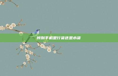 辨别手机是行货还是水货