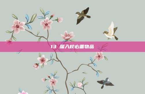 13 届入校必备物品