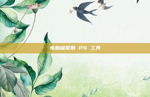 电脑端常用 PS 工具