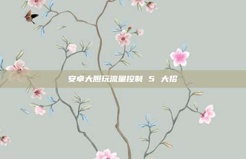安卓大胆玩流量控制 5 大招