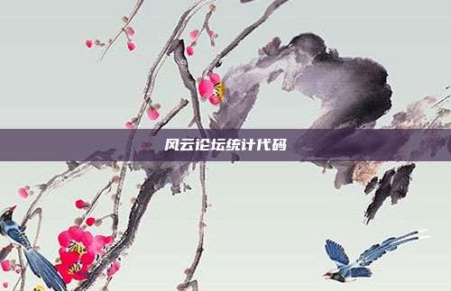 风云论坛统计代码