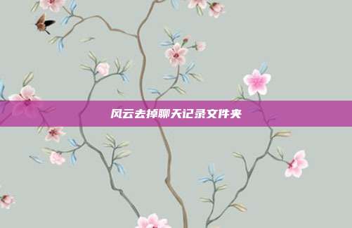 风云去掉聊天记录文件夹