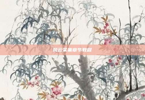 风云采集章节教程