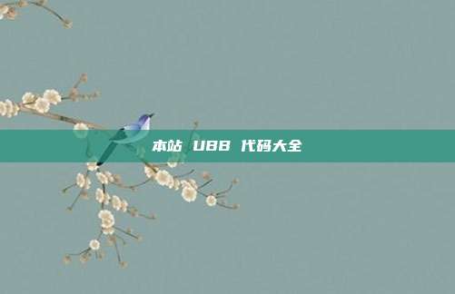 本站 UBB 代码大全