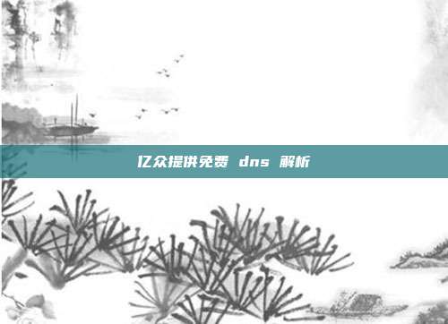 亿众提供免费 dns 解析