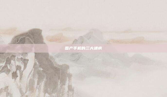 国产手机的三大通病