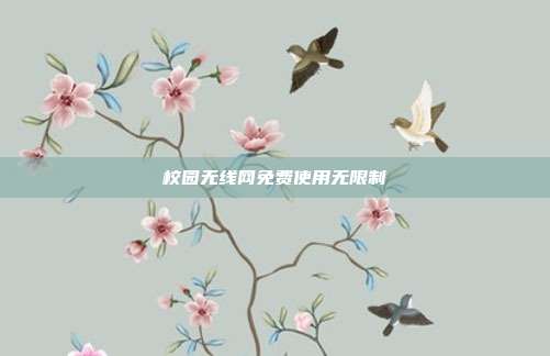 校园无线网免费使用无限制