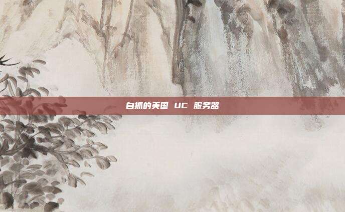 自抓的美国 UC 服务器