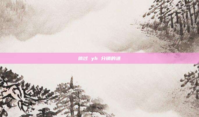 搞过 yh 分销的进