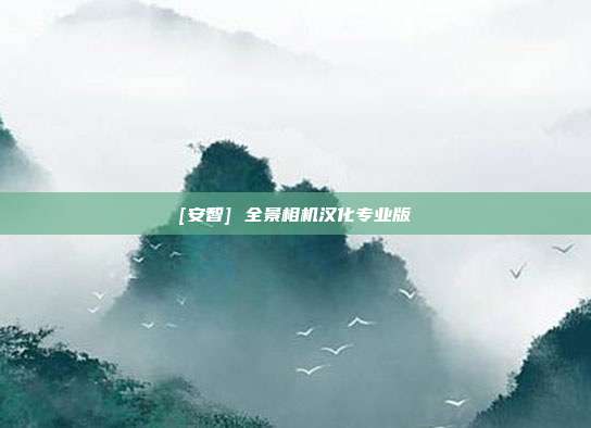 [ 安智] 全景相机汉化专业版