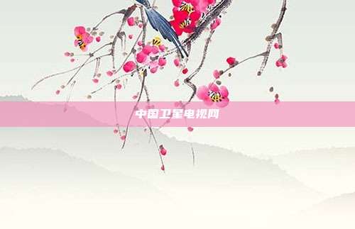 中国卫星电视网