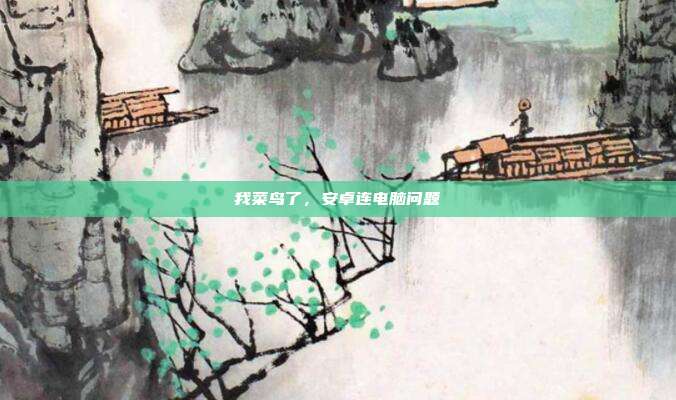 我菜鸟了，安卓连电脑问题