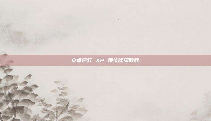安卓运行 XP 系统详细教程