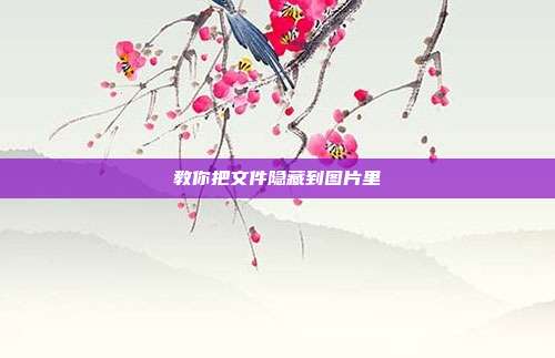 教你把文件隐藏到图片里