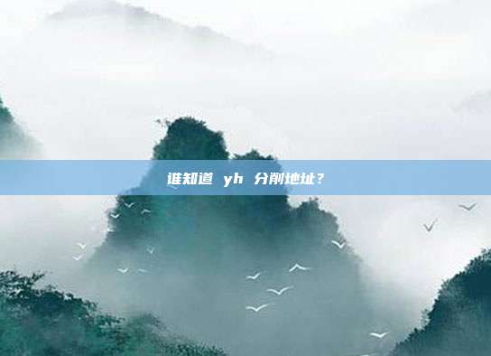 谁知道 yh 分削地址？