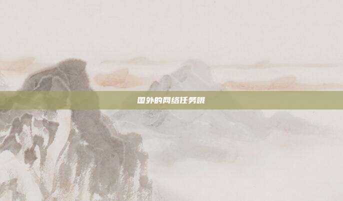 国外的网络任务哦