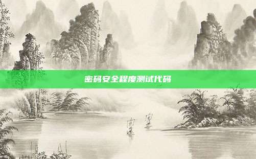 密码安全程度测试代码