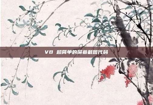 VB 超简单的屏幕截图代码