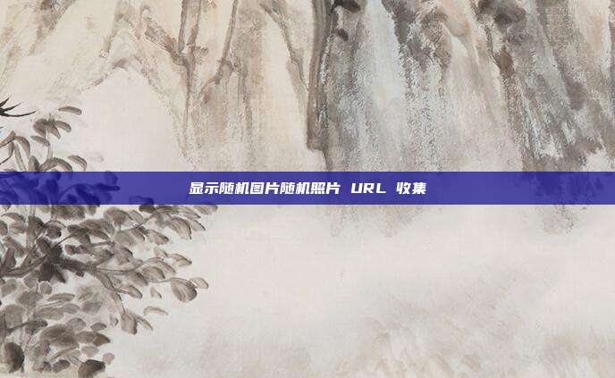 显示随机图片随机照片 URL 收集