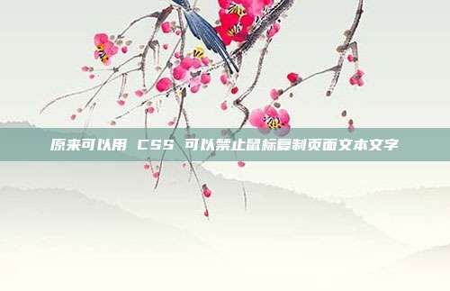 原来可以用 CSS 可以禁止鼠标复制页面文本文字