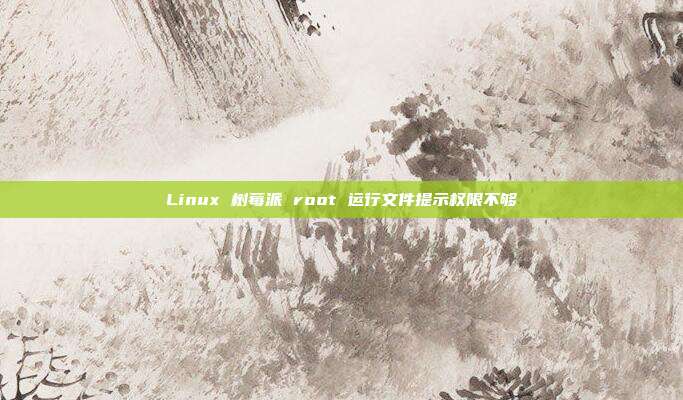 Linux 树莓派 root 运行文件提示权限不够