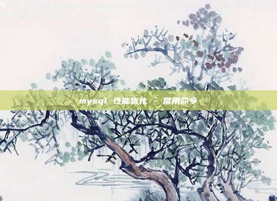 mysql 性能优化 - 常用命令