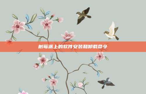 树莓派上的软件安装和卸载命令