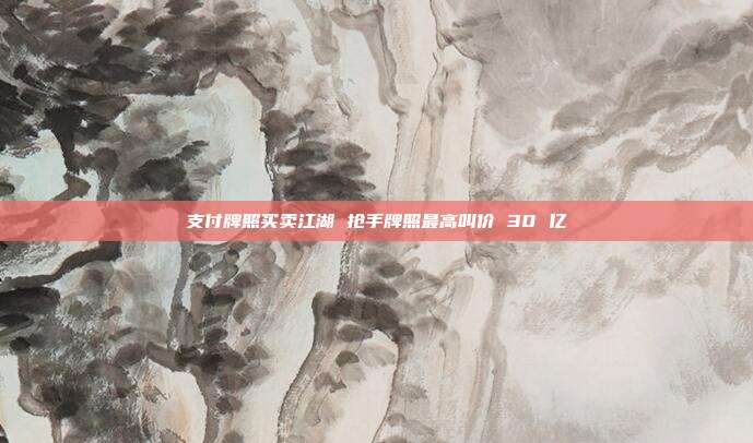 支付牌照买卖江湖 抢手牌照最高叫价 30 亿