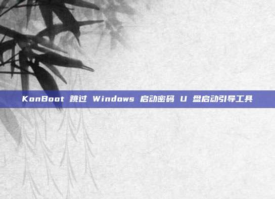 KonBoot 跳过 Windows 启动密码 U 盘启动引导工具