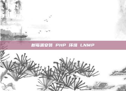 树莓派安装 PHP 环境 LNMP