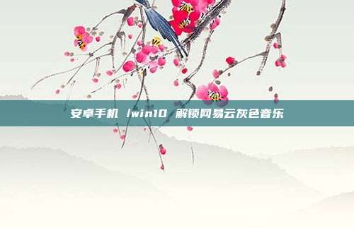 安卓手机 /win10 解锁网易云灰色音乐