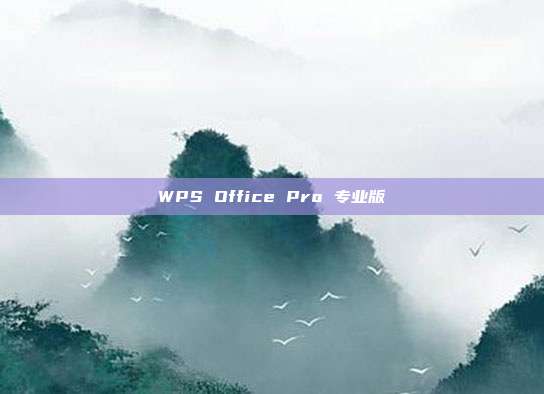 WPS Office Pro 专业版